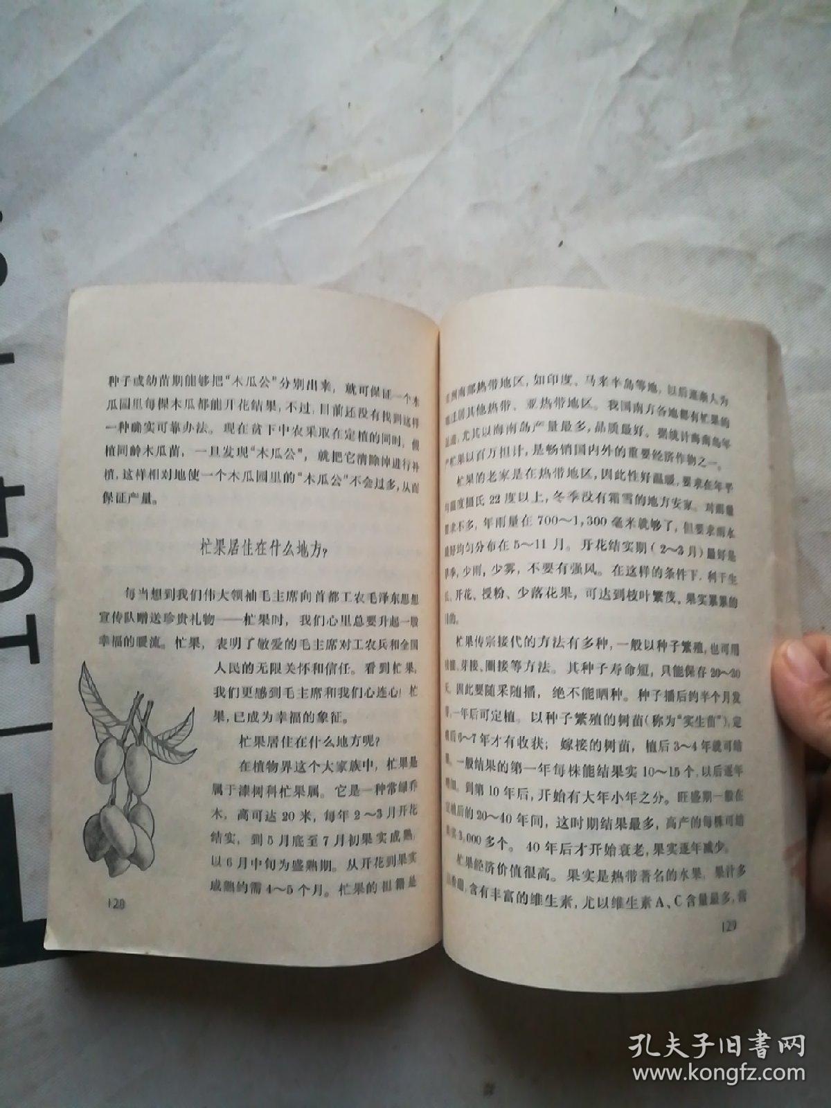 成语什么郎顾曲_成语故事简笔画(4)