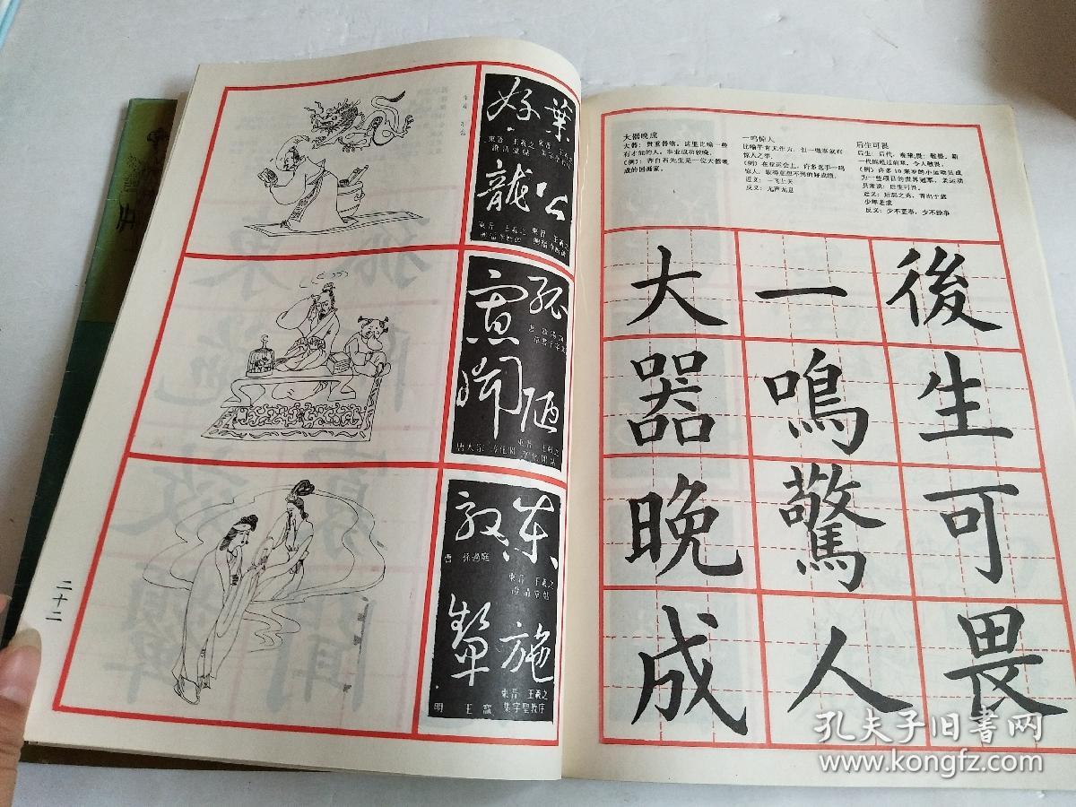 什么什么大观成语_欧亚大观都有什么美食(2)