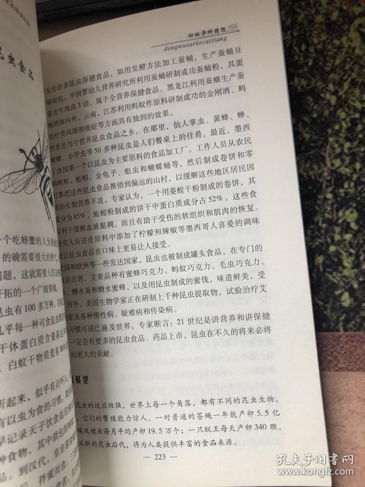 0210494536034a24d2_b.jpg