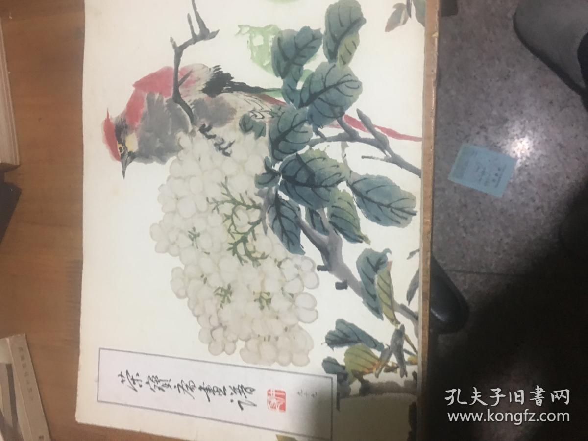 荣宝斋画谱(九十九)陆抑非 花鸟部分