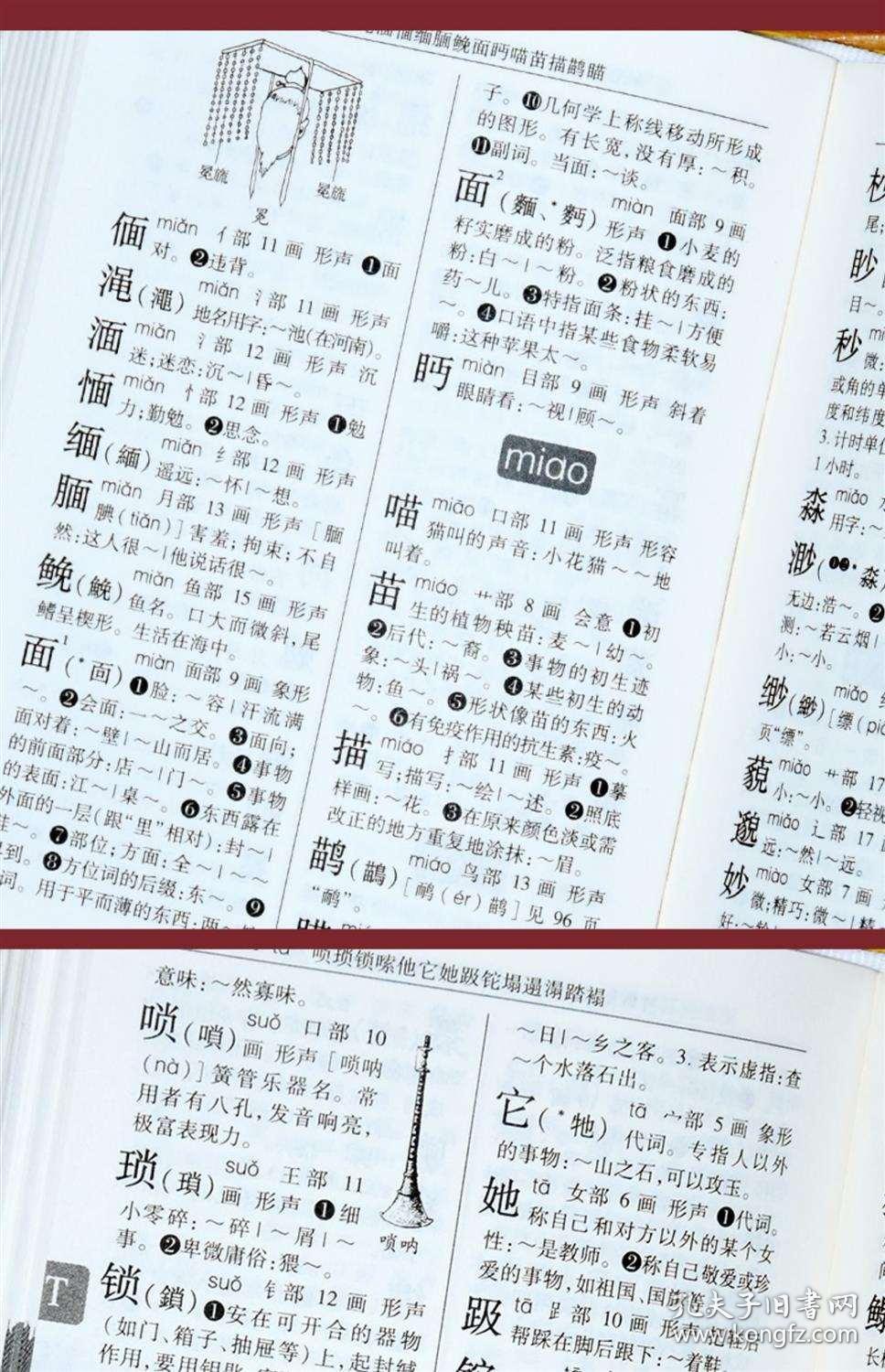 生什么亡语成语_成语故事图片(2)