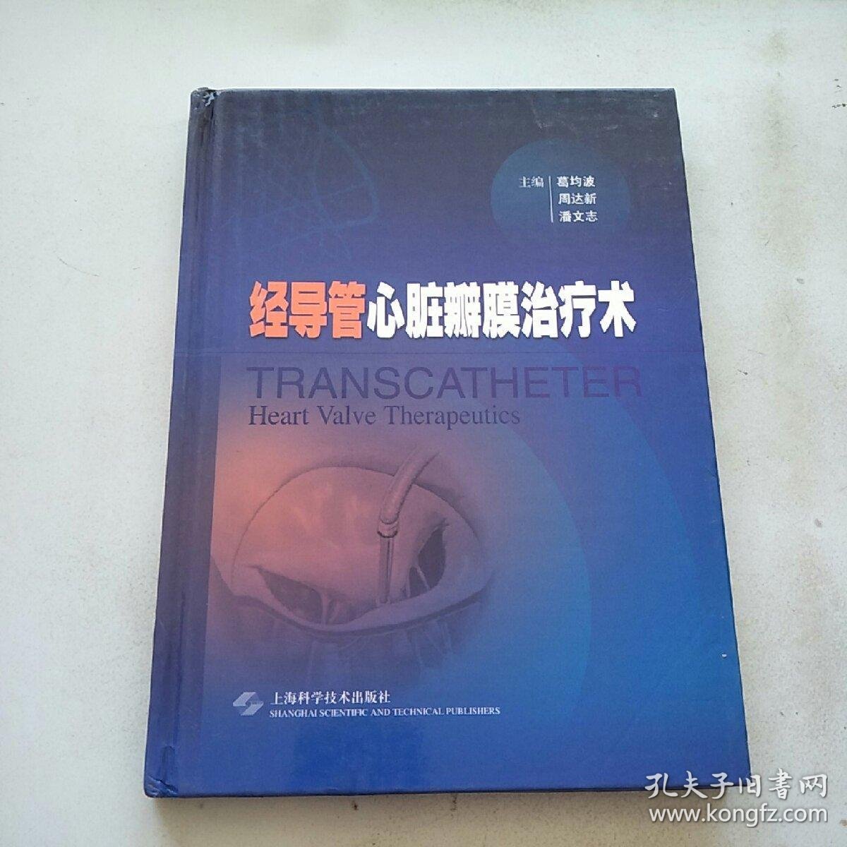 经导管心脏瓣膜治疗术