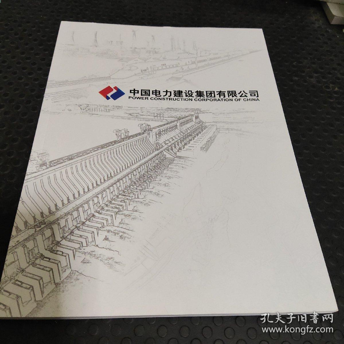 中国电力建设集团有限公司