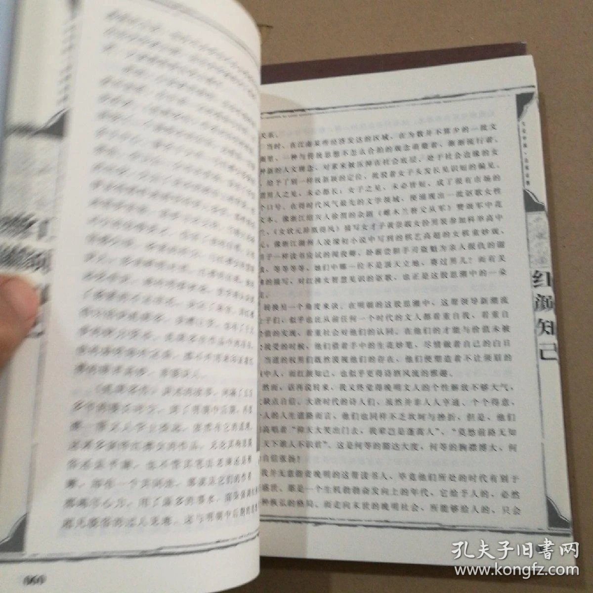 02153b1e527fa92f01_b.jpg