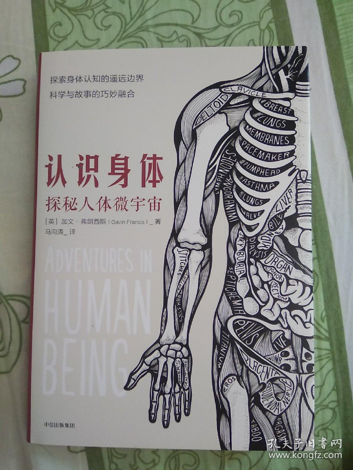 认识身体