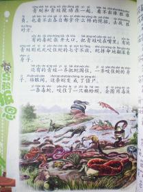 乌鸦报恩(美绘拼音版) 大兴安岭猎犬历险记