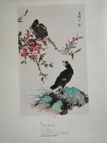 名家画八哥4页:王雪涛,徐悲鸿,吴宏修,张殿启