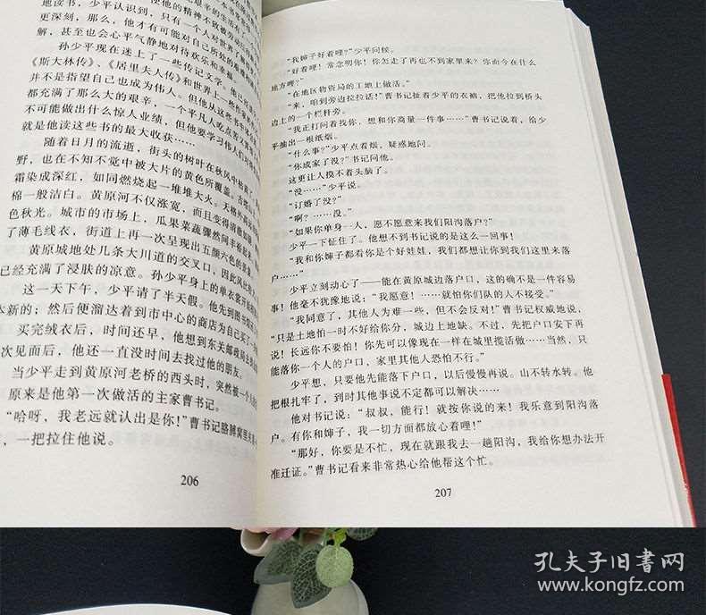 0215dd58de3c753544_b.jpg