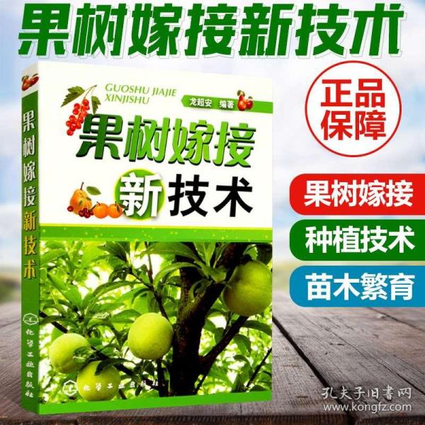 02179b950a7ad77403_n.jpg