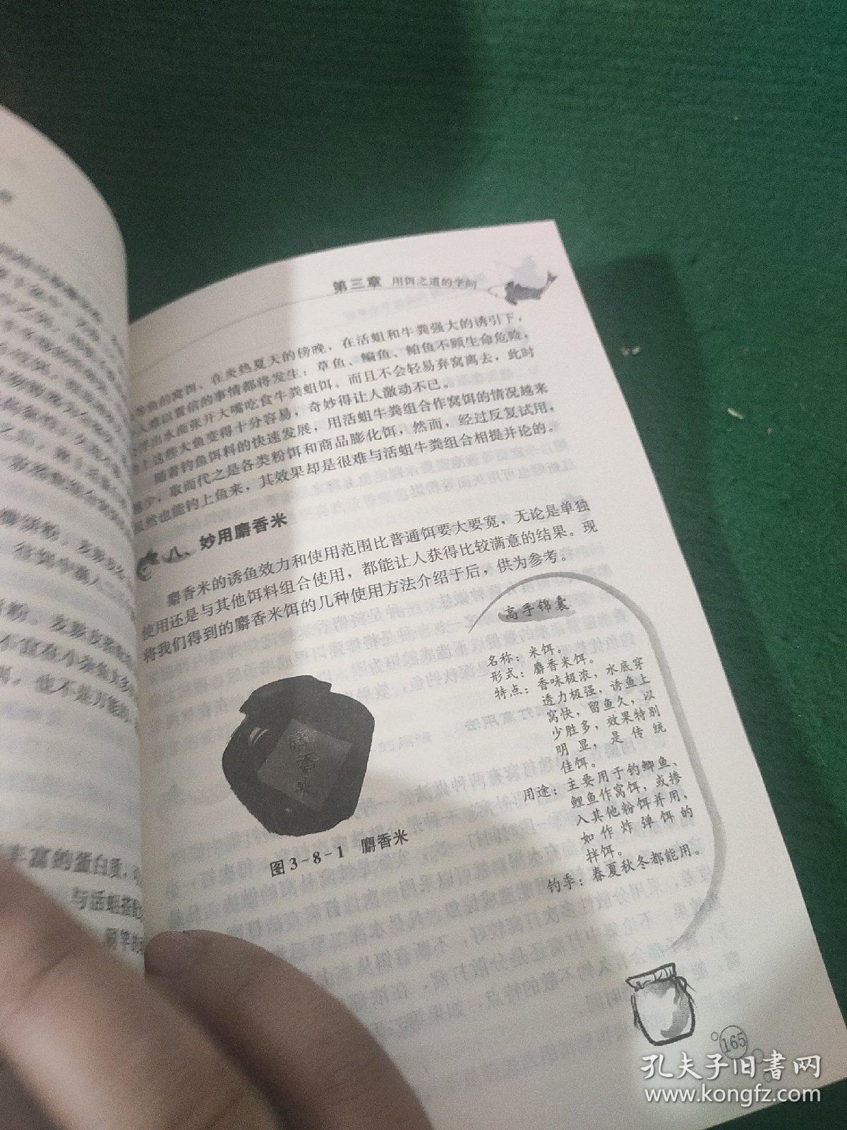 被爱垂钓的鱼简谱_被爱垂钓的鱼(3)