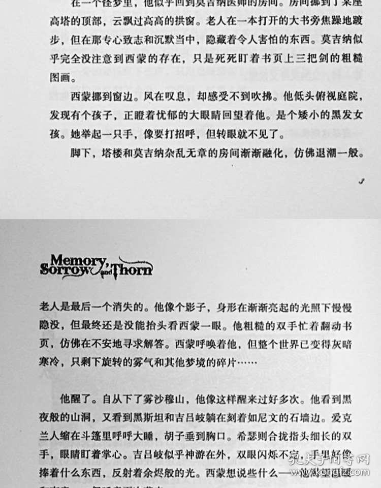 荆棘曲谱_荆棘玫瑰图片(2)