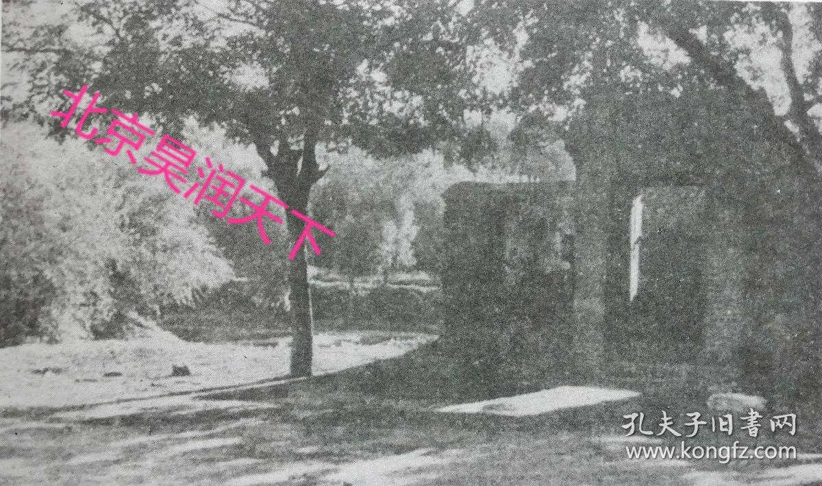 刘半农摄影作品2张