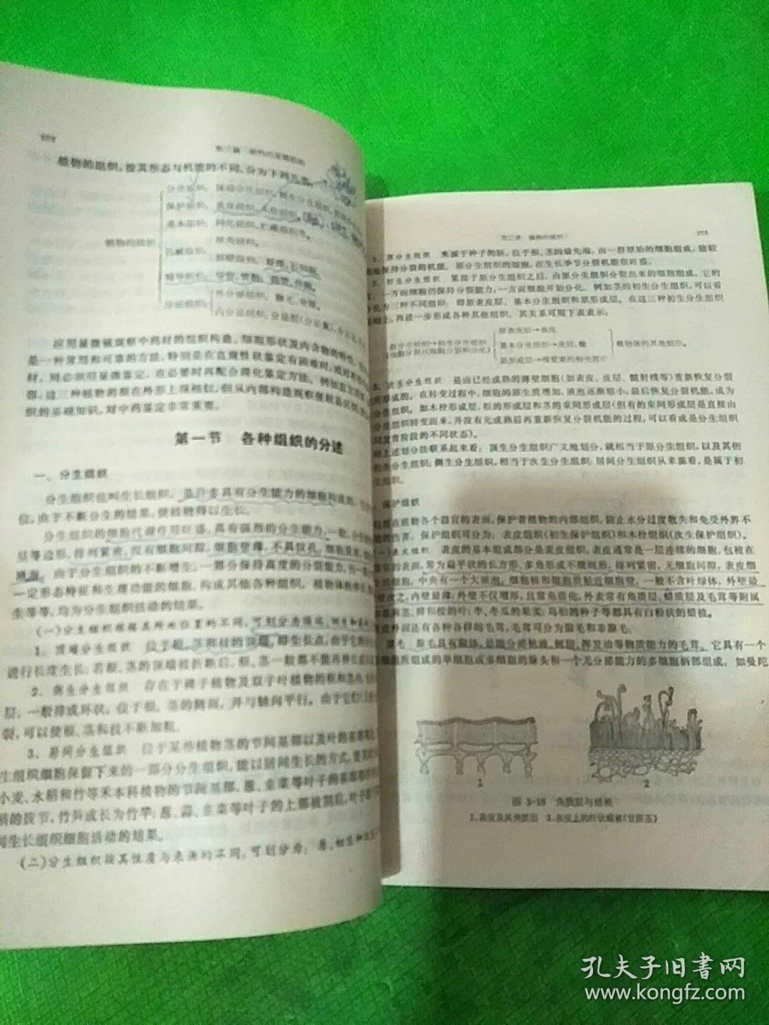 药剂学考研学校排名_考研学校手机壁纸(2)