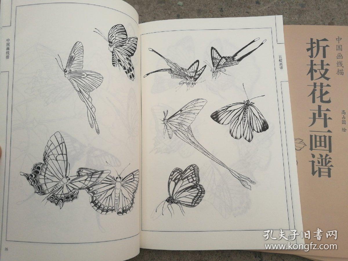 【六本合售】中国画线描白描 四季花卉图谱 牡丹图谱