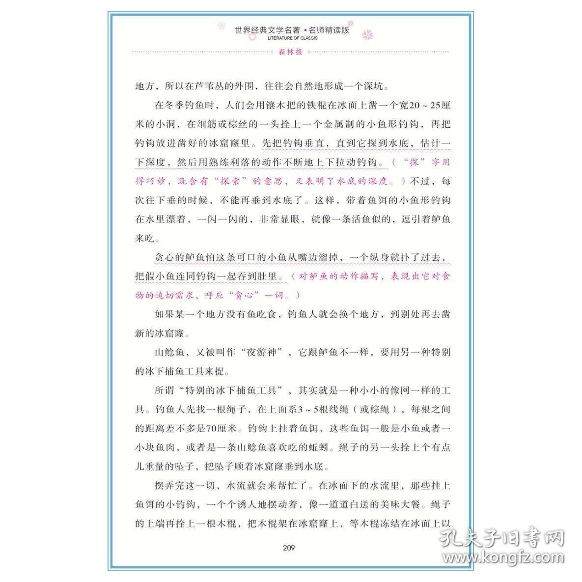 021a34adf6168c6042_b.jpg