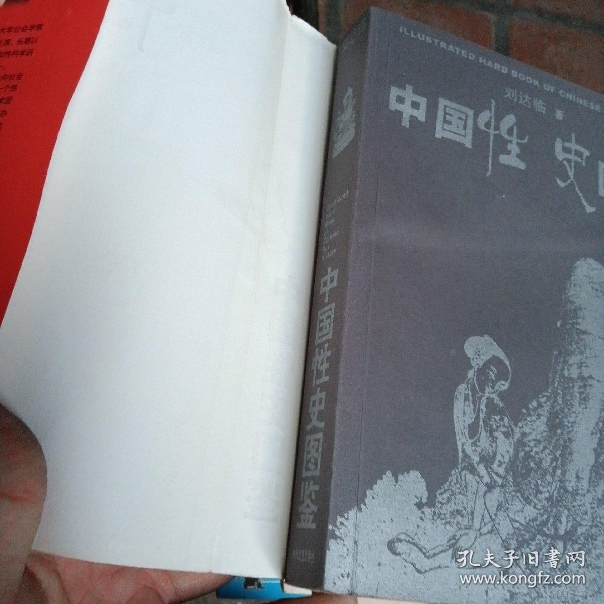 中国性史图鉴