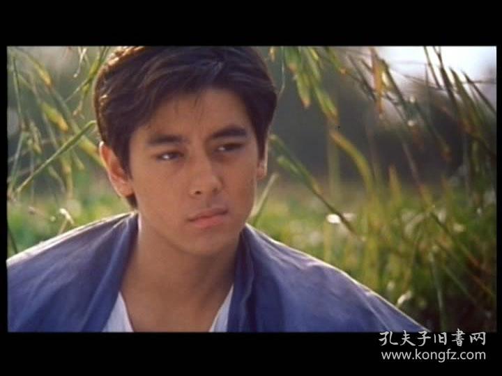 《侠盗正传》DVD(林志颖\/徐若瑄\/柯受良)