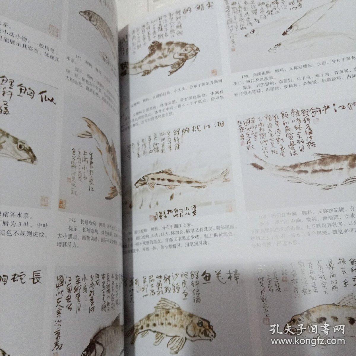 南音鱼沉曲谱_南音春光明媚的曲谱(2)