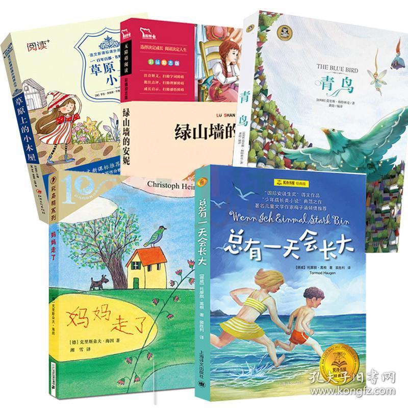 草原上的小木屋天地出版社 总有一 天会长大 小学生课外阅读书籍 8-9