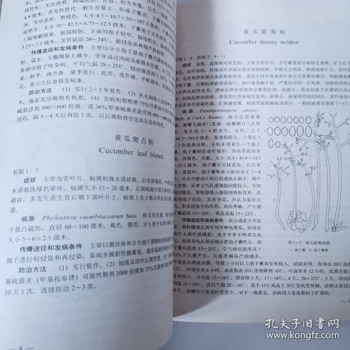 原色简谱_三原色简谱
