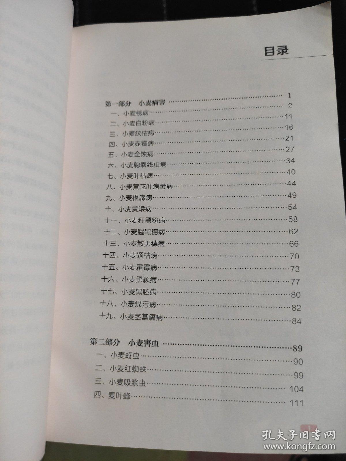 原色简谱_三原色简谱(3)
