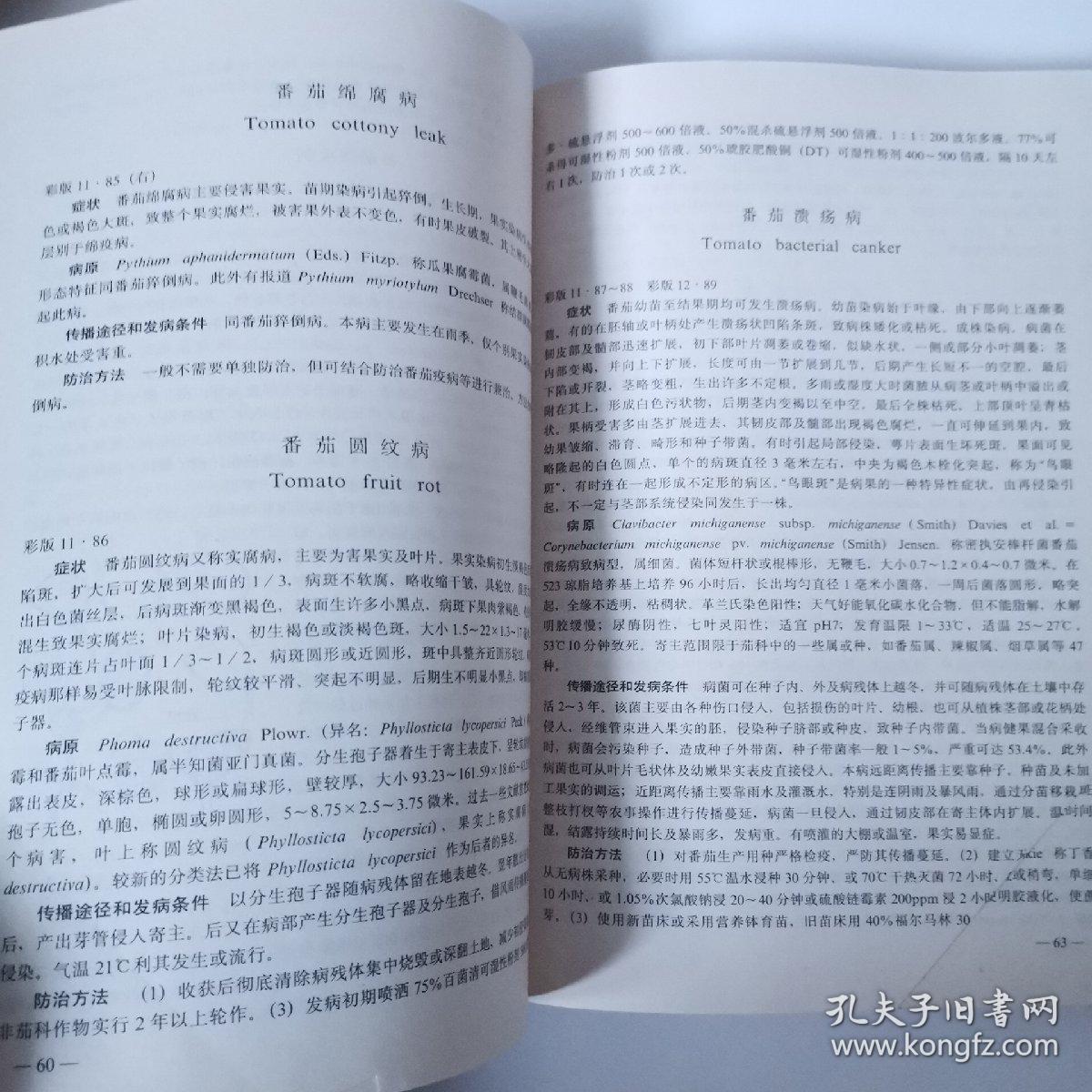 原色简谱_三原色简谱