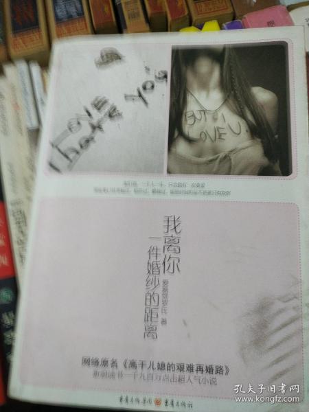 我离你一件婚纱的距离_我姓李却离不开你图片