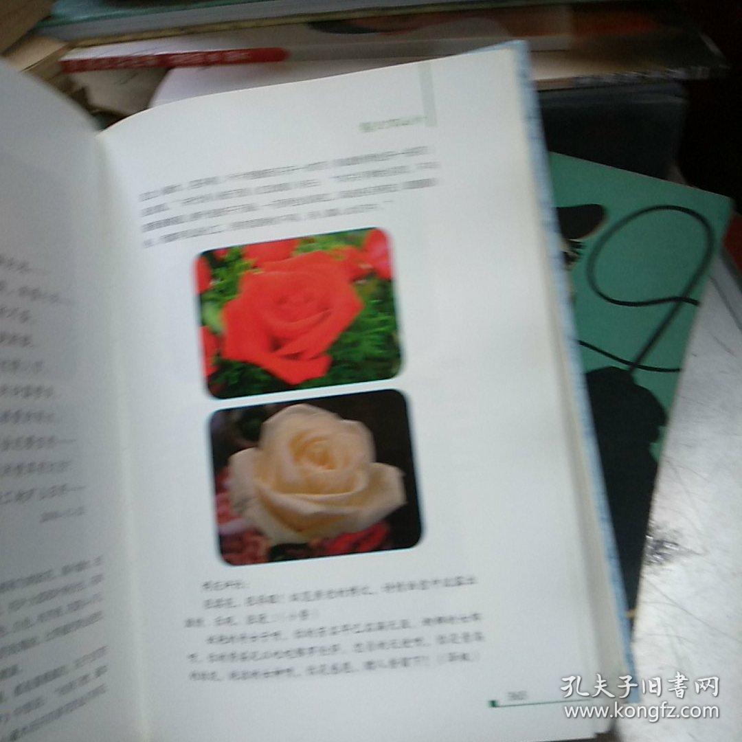 百花诗简谱_春有百花秋有月简谱
