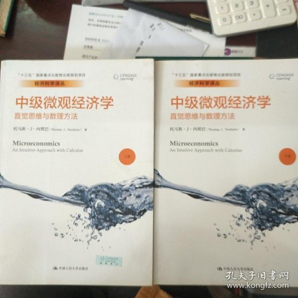 总量在经济学中由微观来完成_微观世界图片(3)