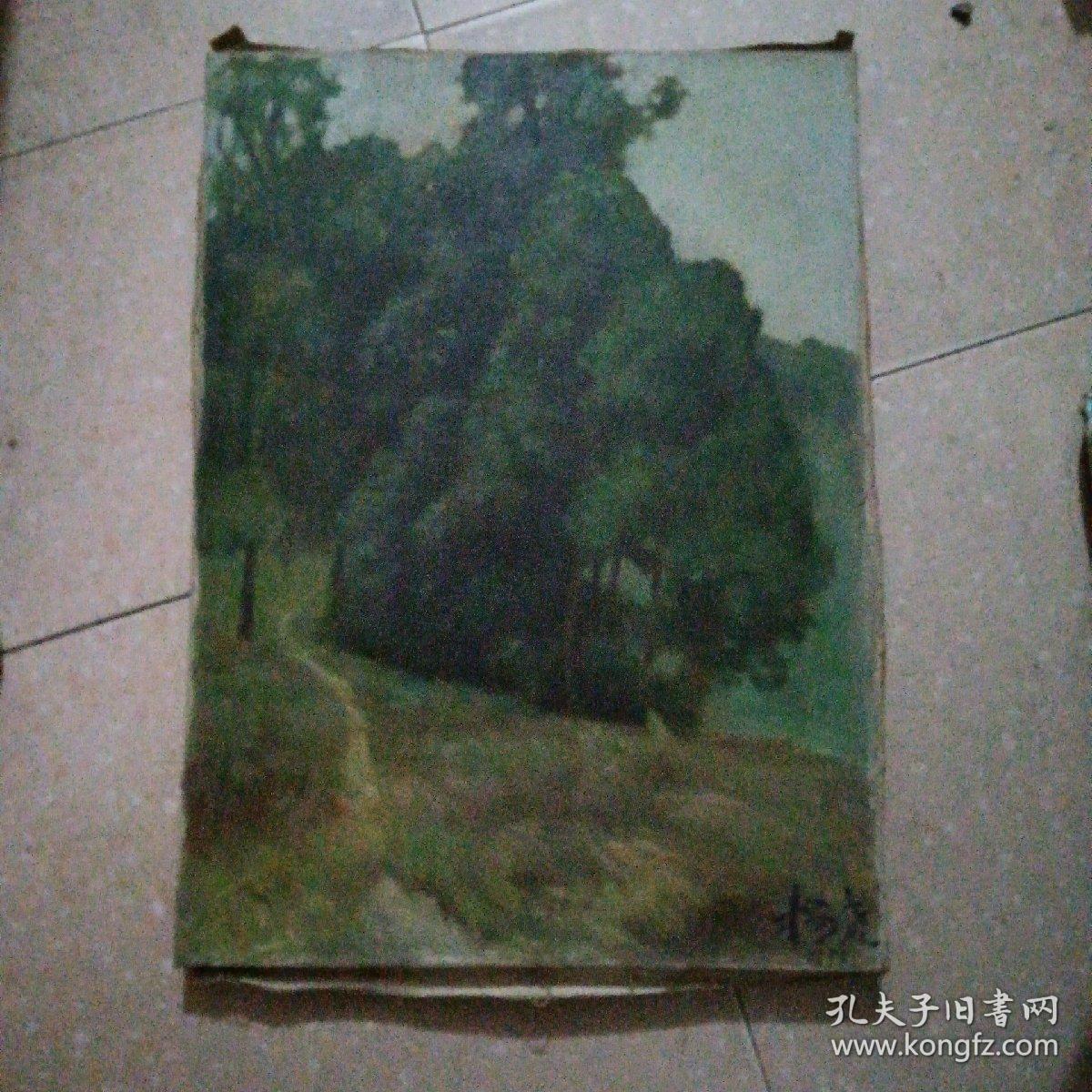 0222d7513ed2518c97_b.jpg