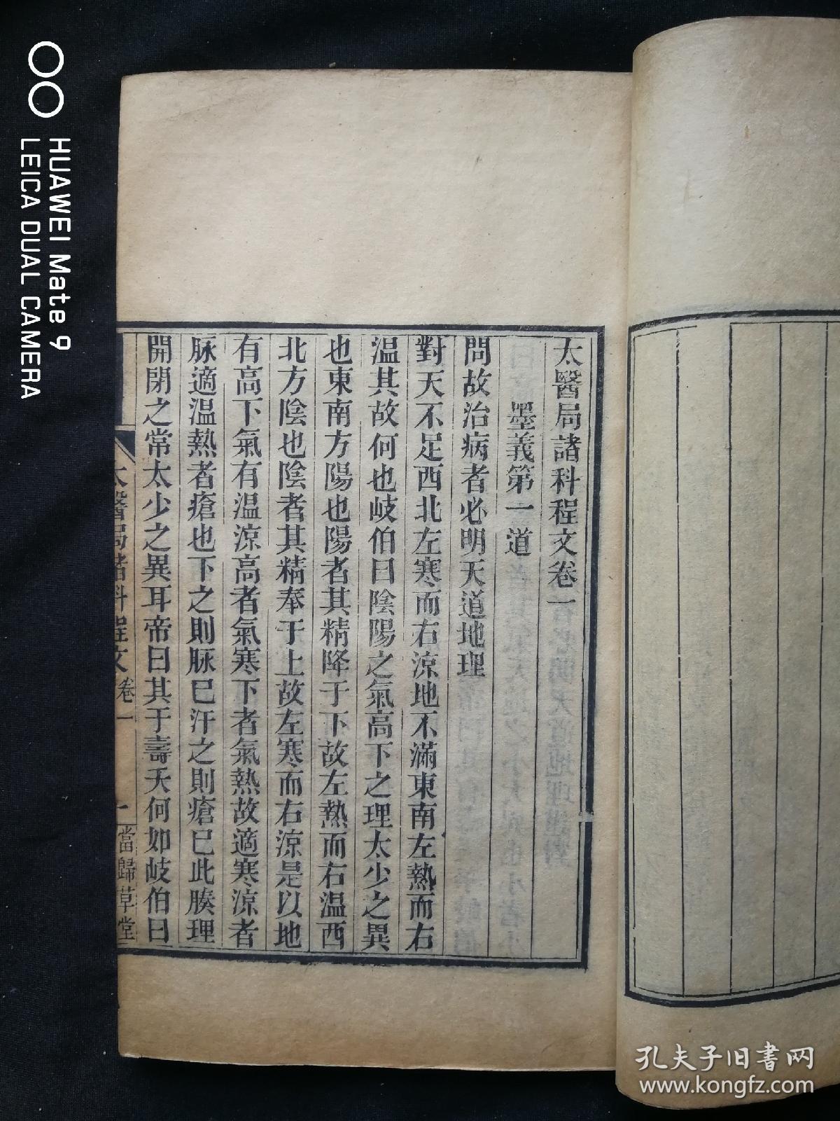 当归的简谱_当归植物图片(3)