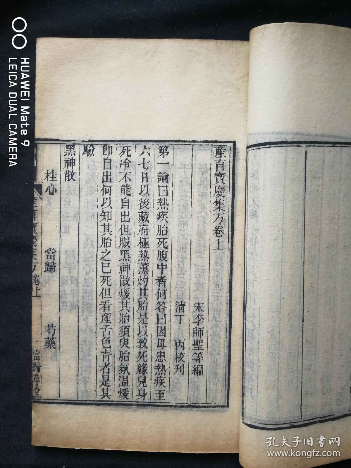 当归的简谱_当归植物图片(3)