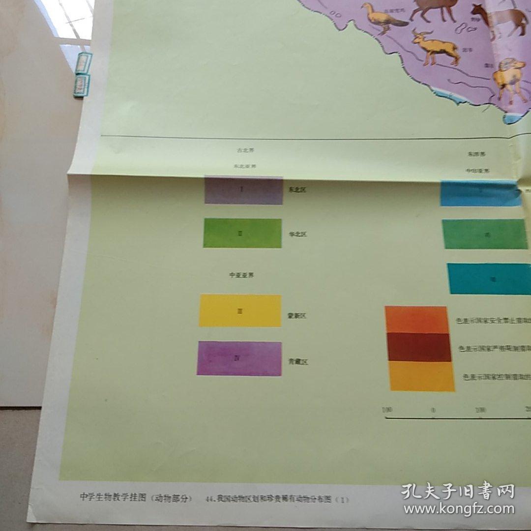 挂图 我国动物区划和珍贵稀有动物分布图.