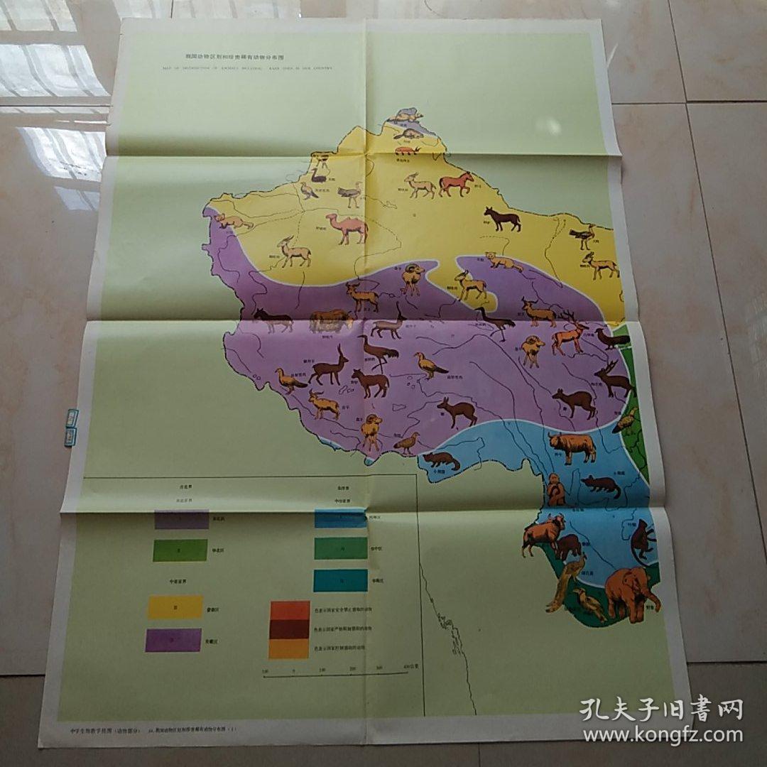 挂图 我国动物区划和珍贵稀有动物分布图.
