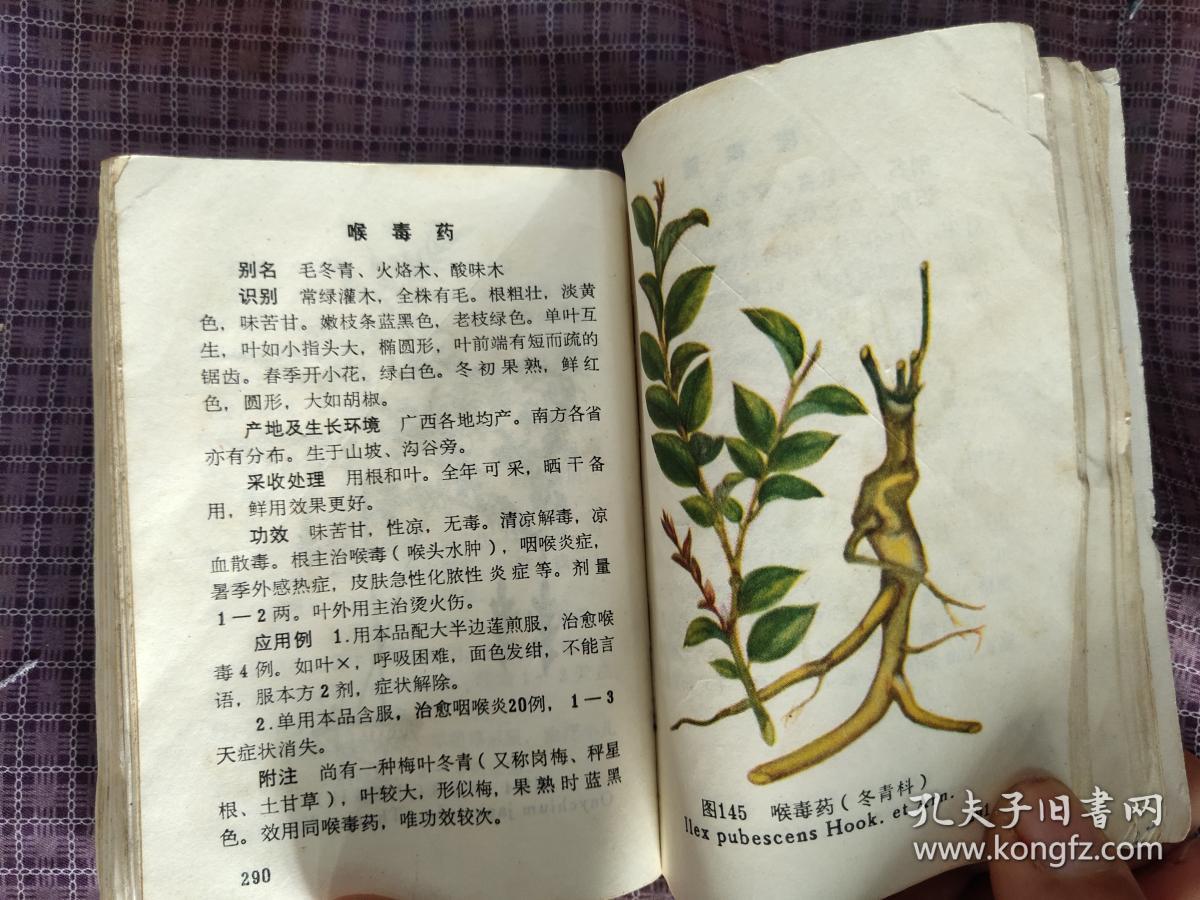 广西实用中草药新选彩图