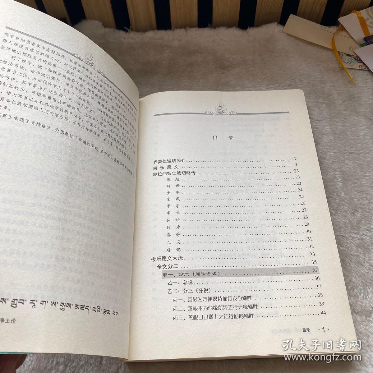 小米手机极乐净土简谱_极乐净土简谱(3)