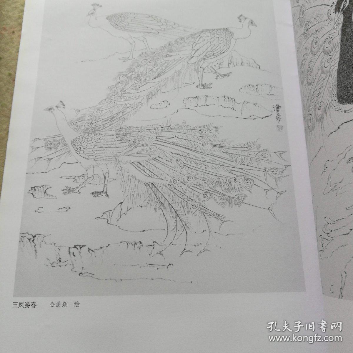 工笔画白描教学示范:孔雀画稿