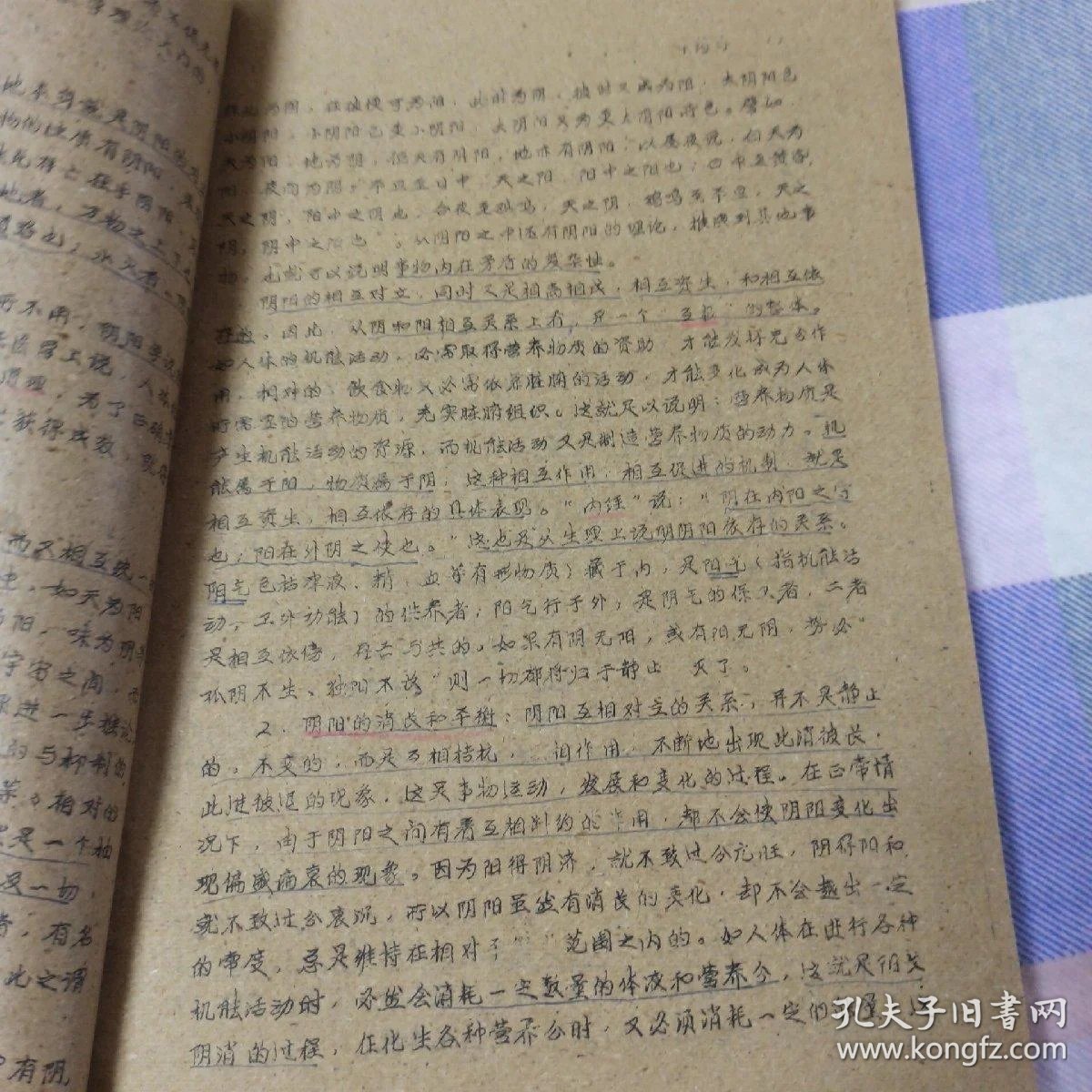 0228236c9af301af48_b.jpg