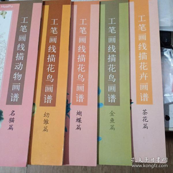 花蝶古筝曲谱_花蝶图片(2)