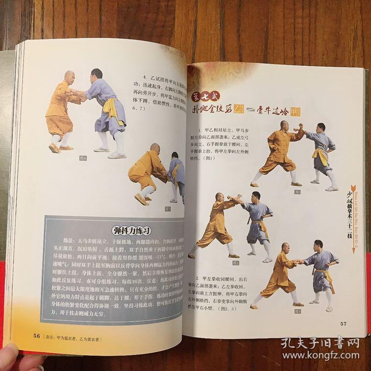 少林擒拿术32技(无光盘)