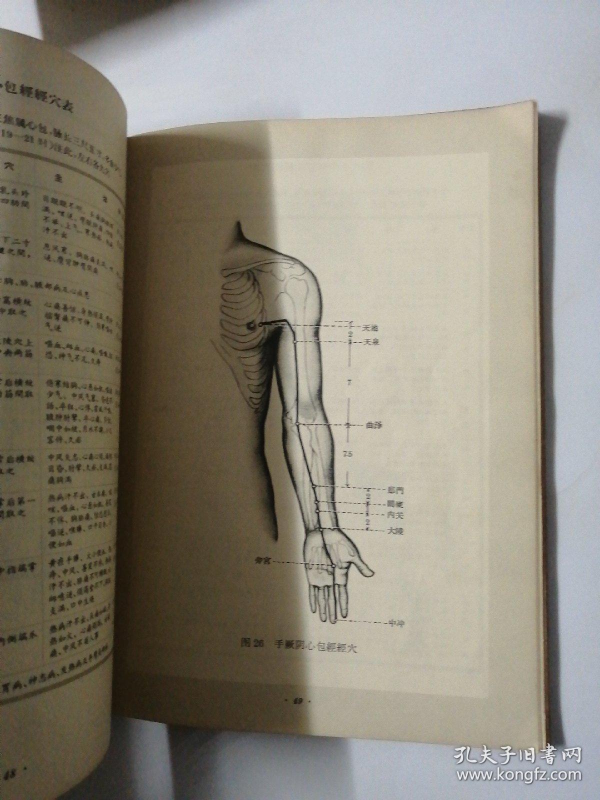 针灸简谱_中医针灸图片