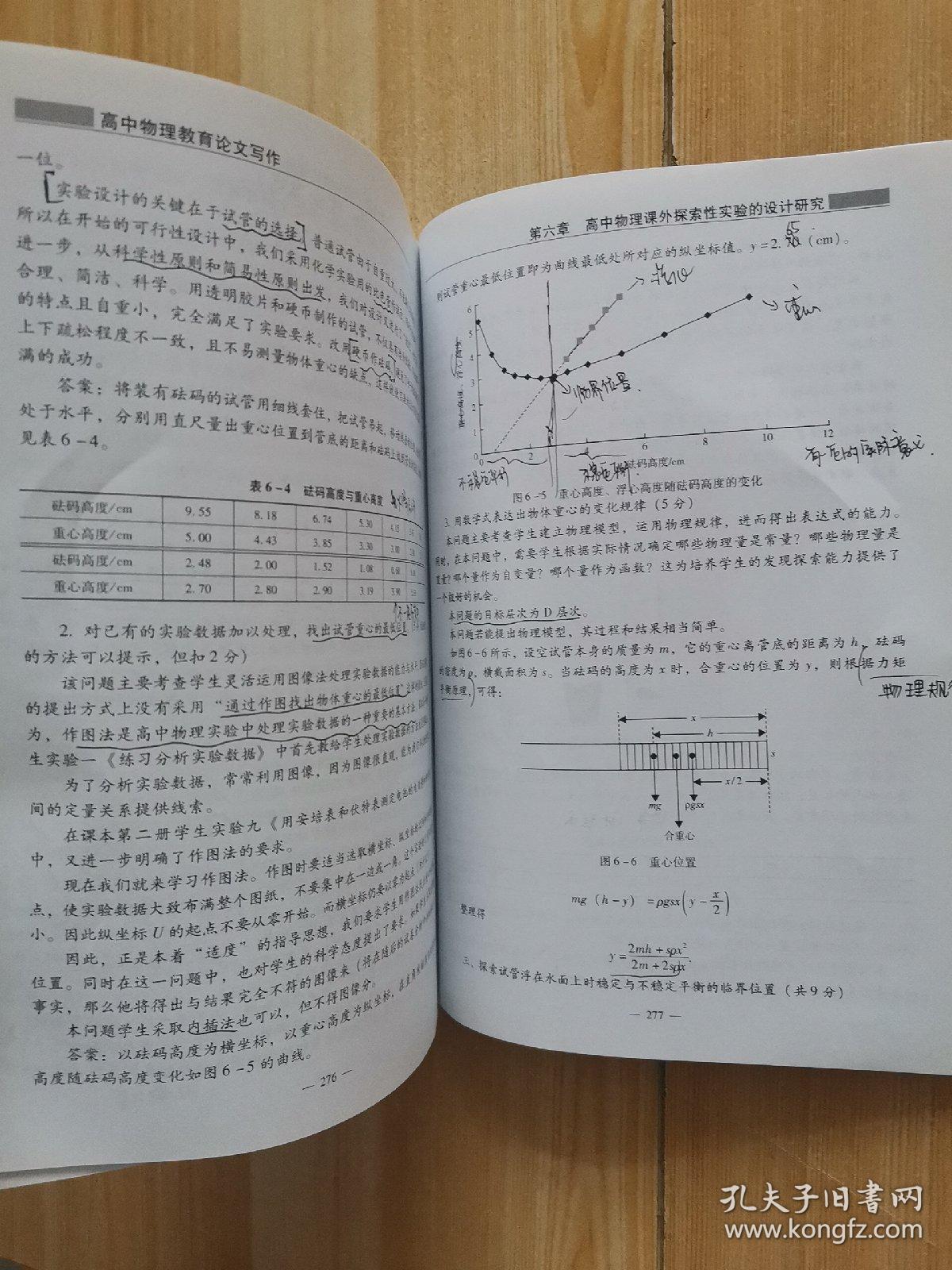 中学物理教师专业发展丛书 :高中物理教育