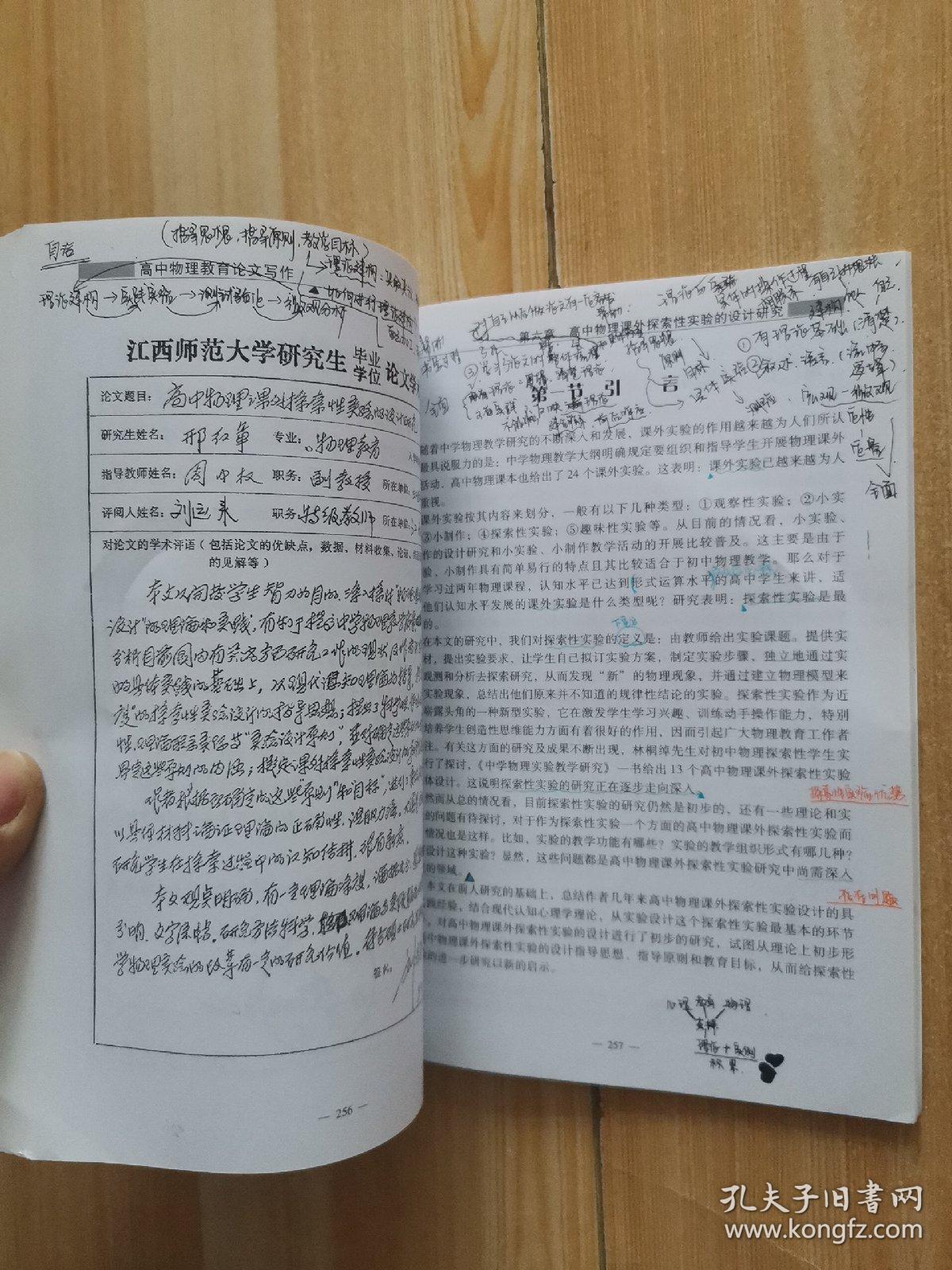 中学物理教师专业发展丛书 :高中物理教育