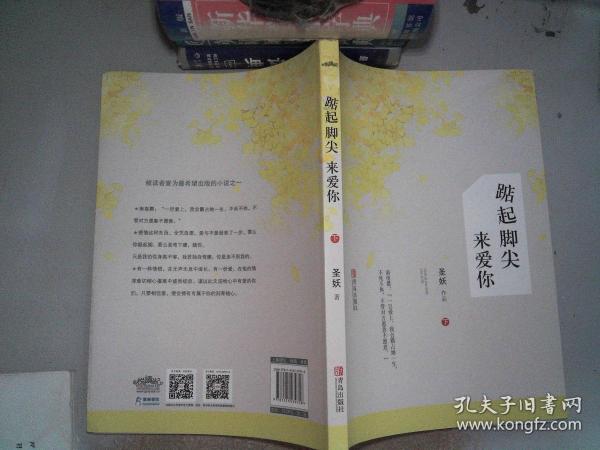 踮起脚尖的爱简谱_踮起脚尖爱的图片