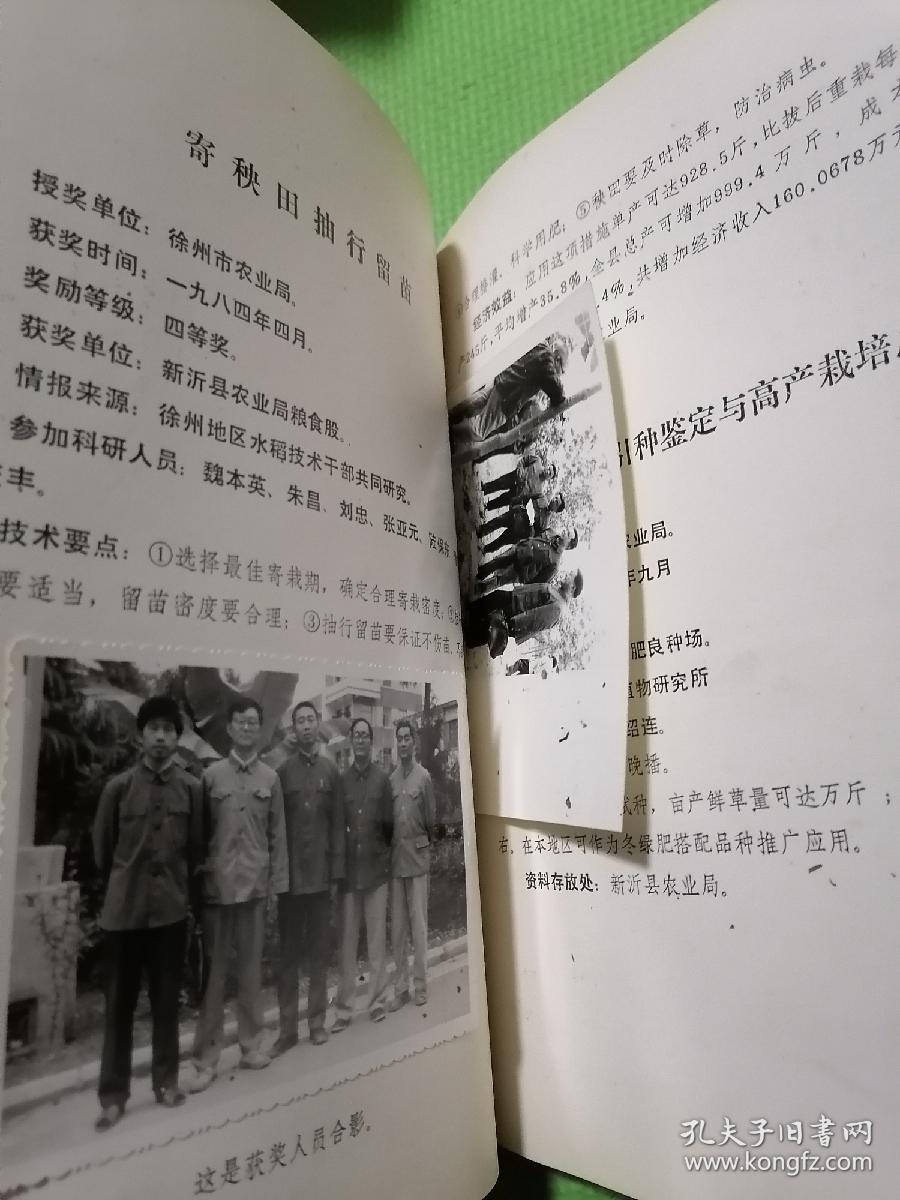 凤台县西商农商城图片-360曲谱网_凤台县地图(3)