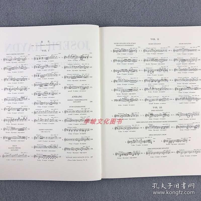 海顿奏鸣曲曲谱版本_海顿d大调奏鸣曲(4)