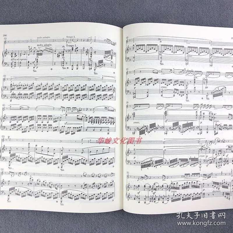贝多芬第十小提琴钢琴奏鸣曲谱子_贝多芬钢琴奏鸣曲图片(5)