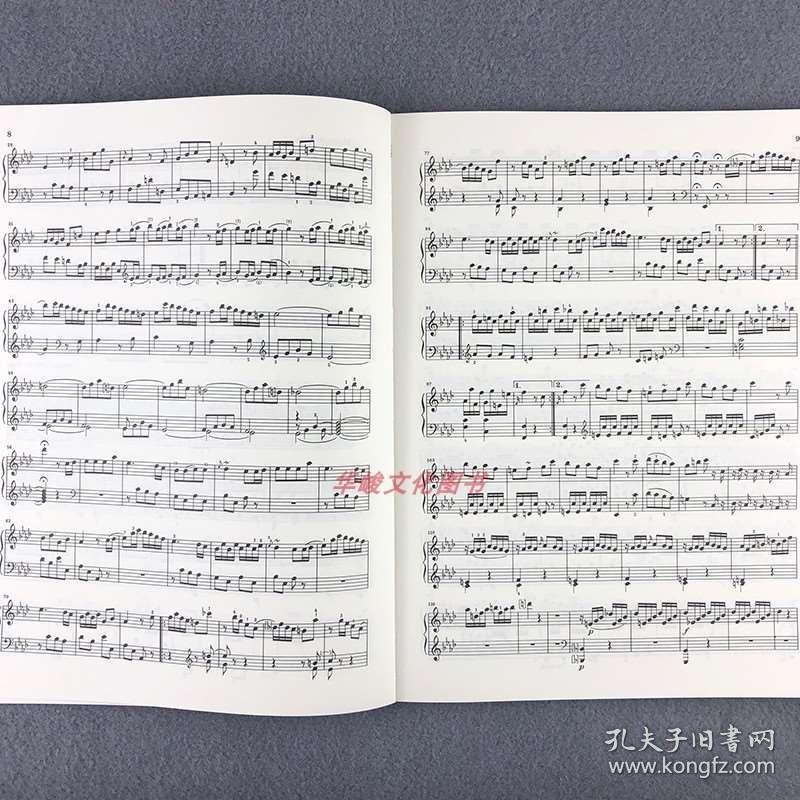海顿奏鸣曲曲谱版本_海顿d大调奏鸣曲(5)