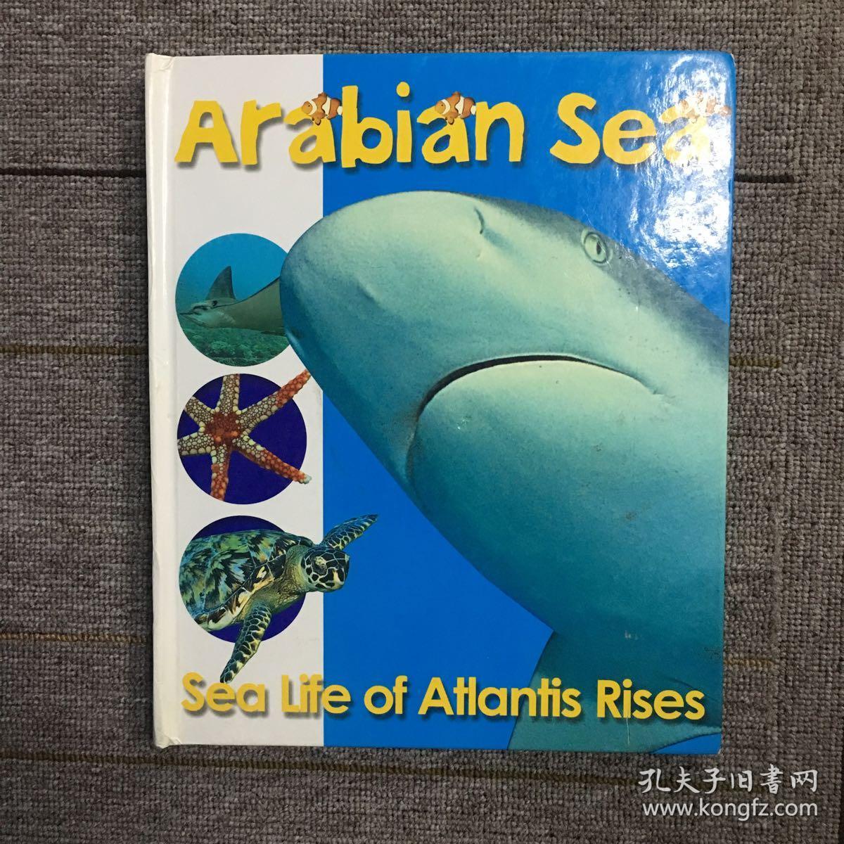 arabian sea阿拉伯海,英语原版立体书