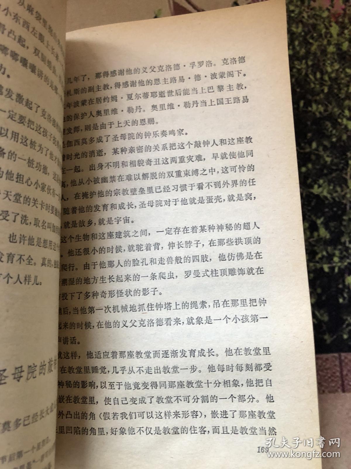 巴黎圣母院简谱_巴黎圣母院美人简谱(2)